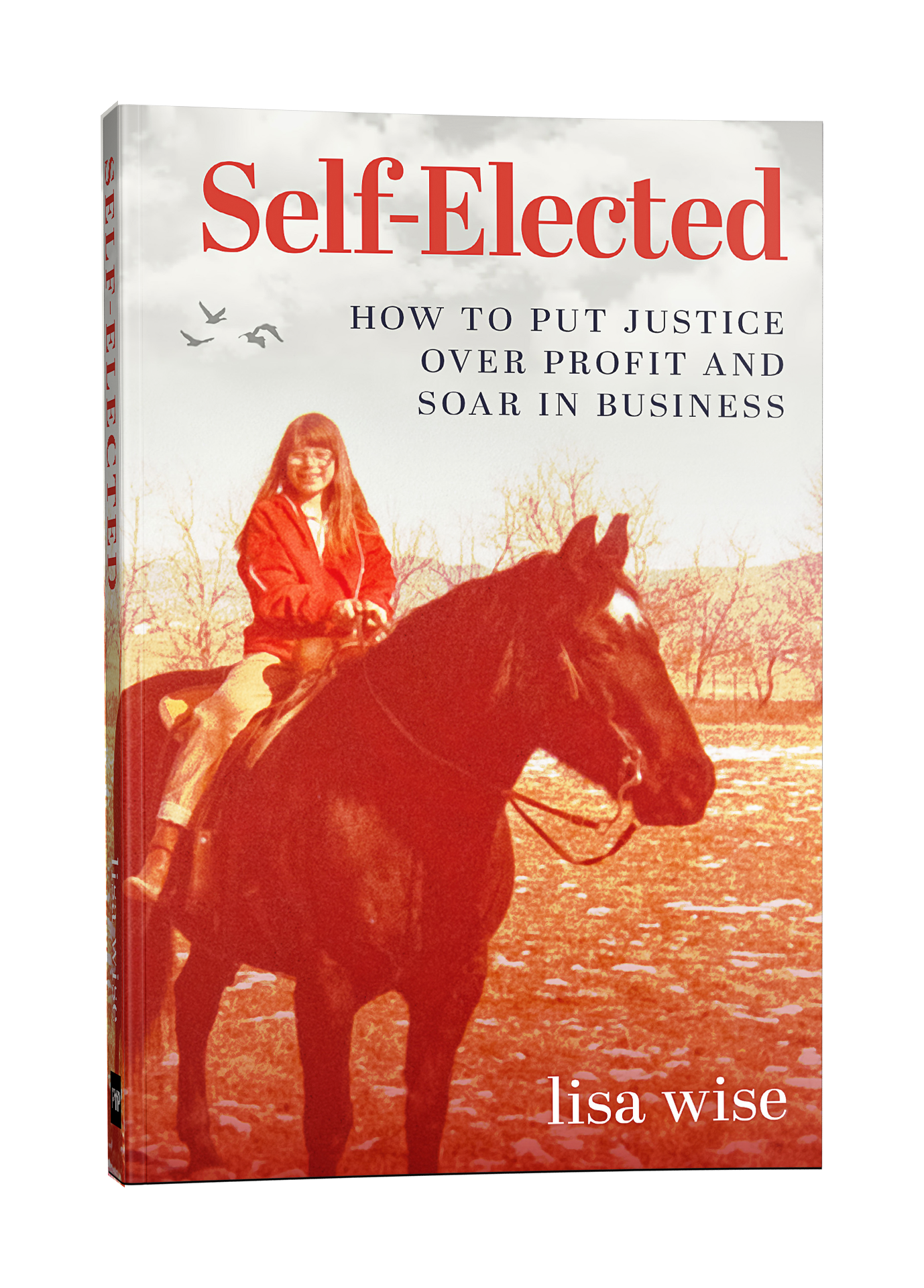 Self-Elected: How to Put Justice Over Profit and Soar in Business by lisa wise